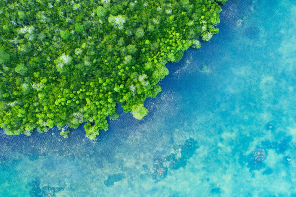 Sustainability Eine Aufnahme von einem Küstenstrich mit viel unberührtem Wald an Land.